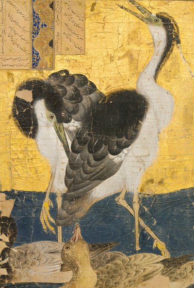 Deux hérons avec des canards - Unbekannt Unbekannt